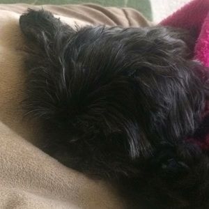 Meet your Posher, Nilkohl